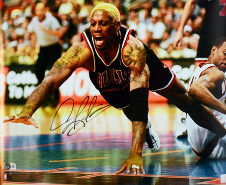 Dennis Rodman Autographed Chicago Bulls 16x20 Diving Photo - Beckett W Hologram *Black Image 1