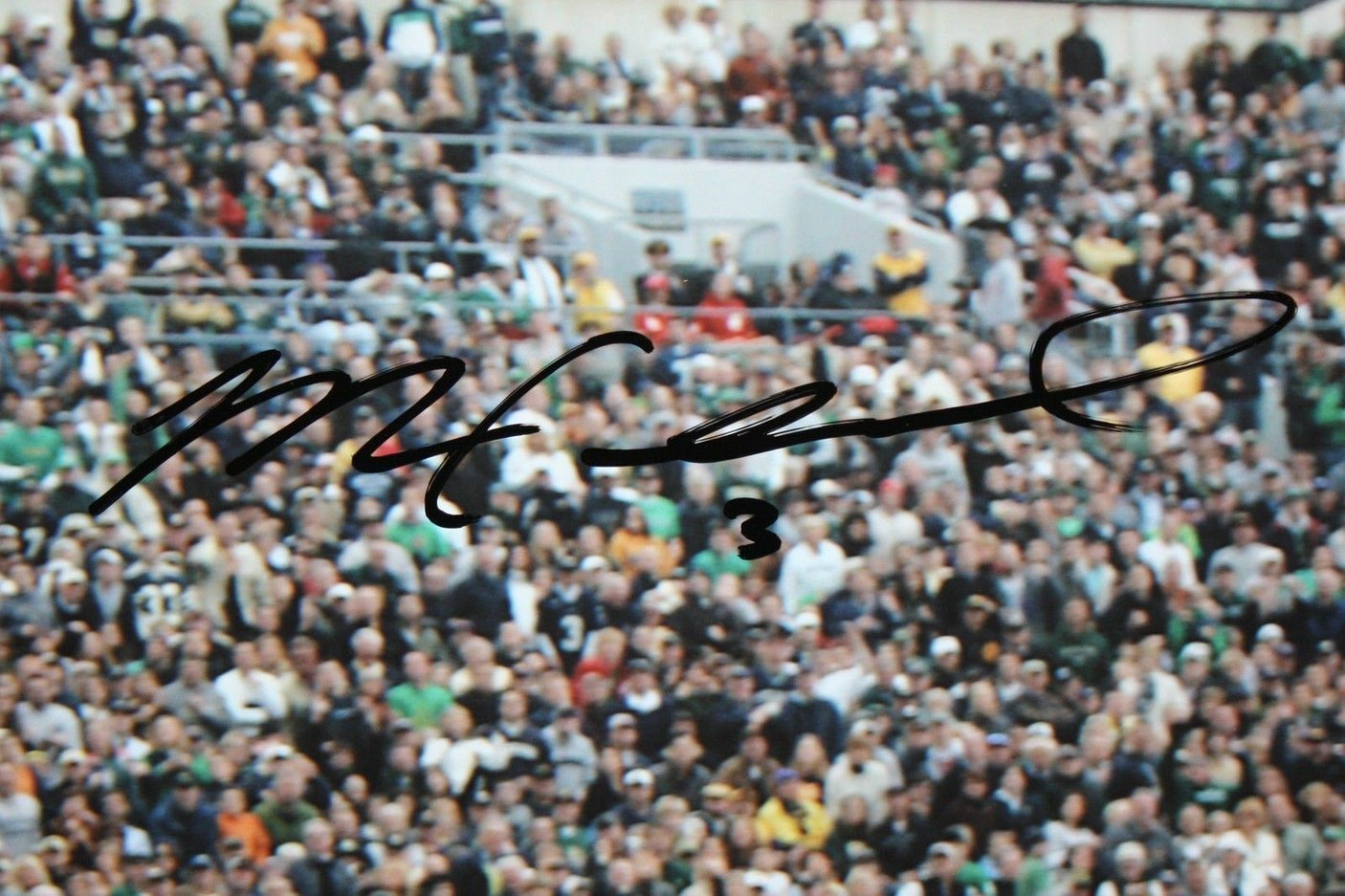 Michael Floyd Autographed Notre Dame 16x20 Catching In Air Photo- JSA W Auth