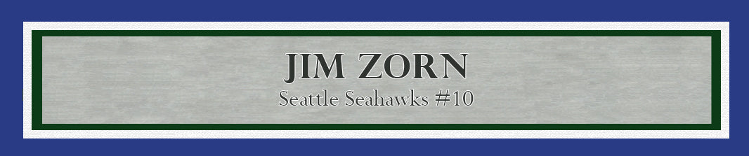 Jim Zorn Autographed Framed 16x20 Photo Seattle Seahawks MCS Holo Stock #200349