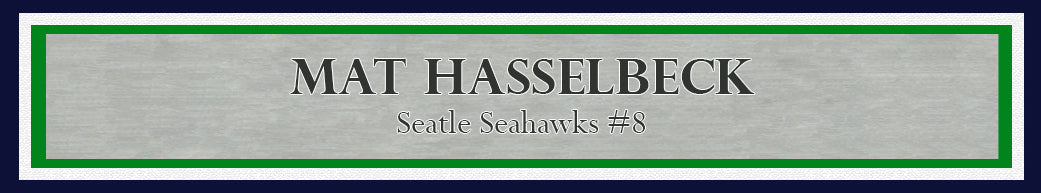Matt Hasselbeck Autographed Framed 16x20 Photo Seattle Seahawks MCS Holo Stock #200364