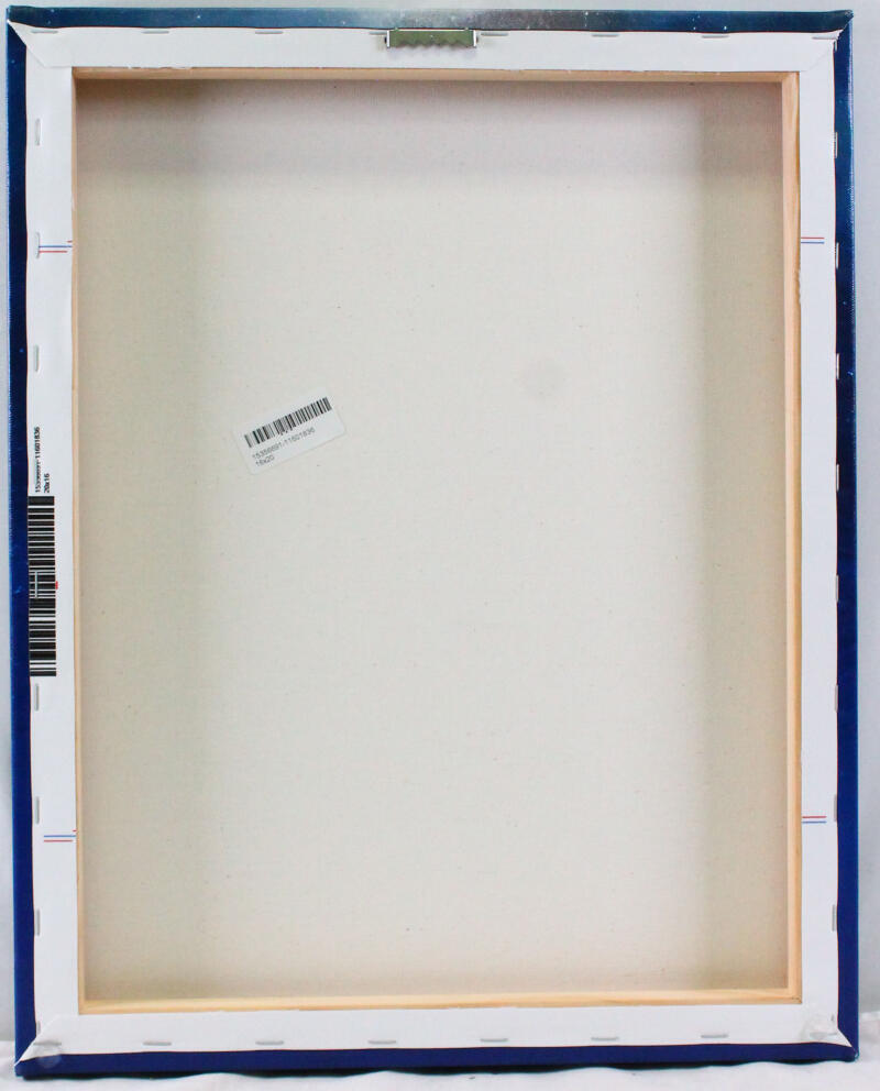 Deion Sanders Signed Dallas Cowboys Framed 16x20 Stretched Canvas-BA W Holo