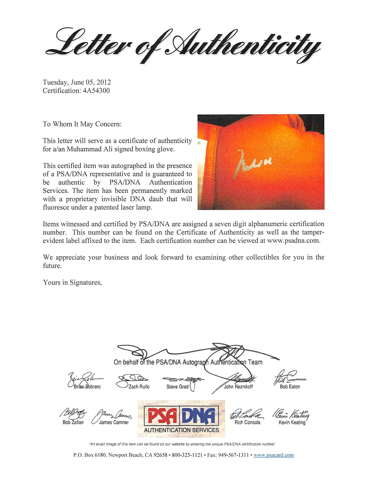 Muhammad Ali Authentic Signed Red Everlast Boxing Glove PSA/DNA Itp #4A54300