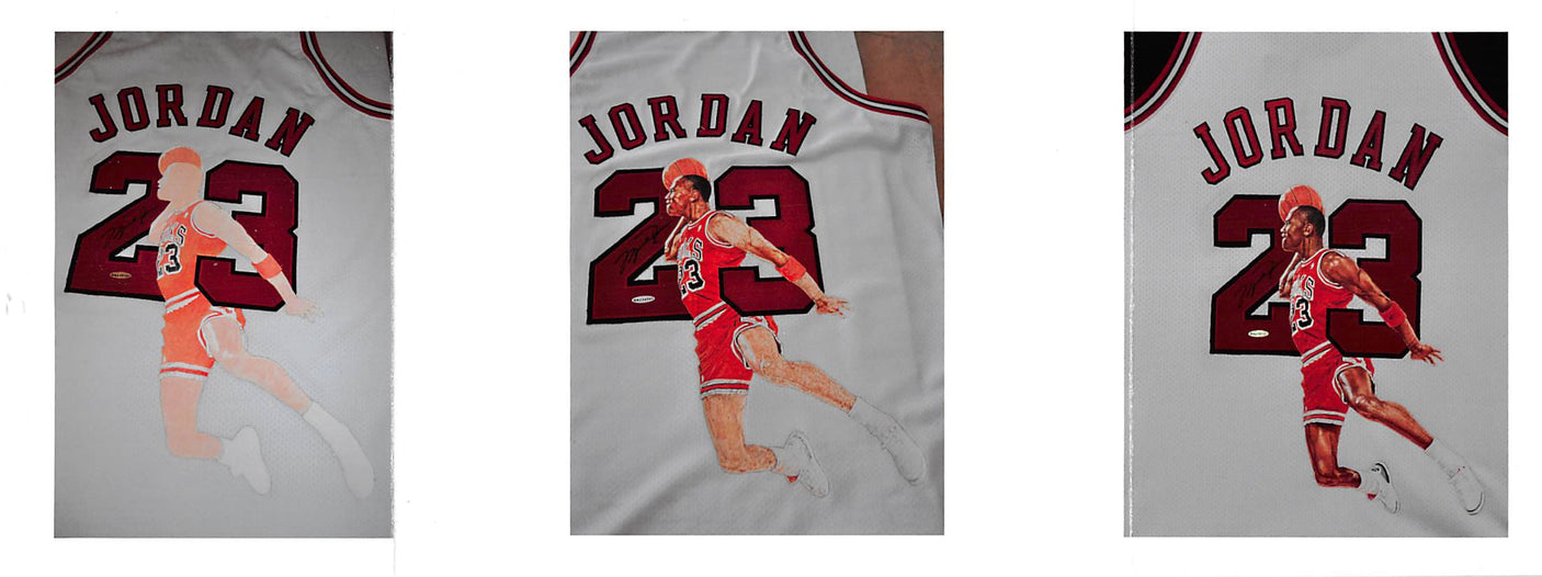 Bulls Michael Jordan Signed William Zavala Hand Painted M&N Framed Jersey UDA