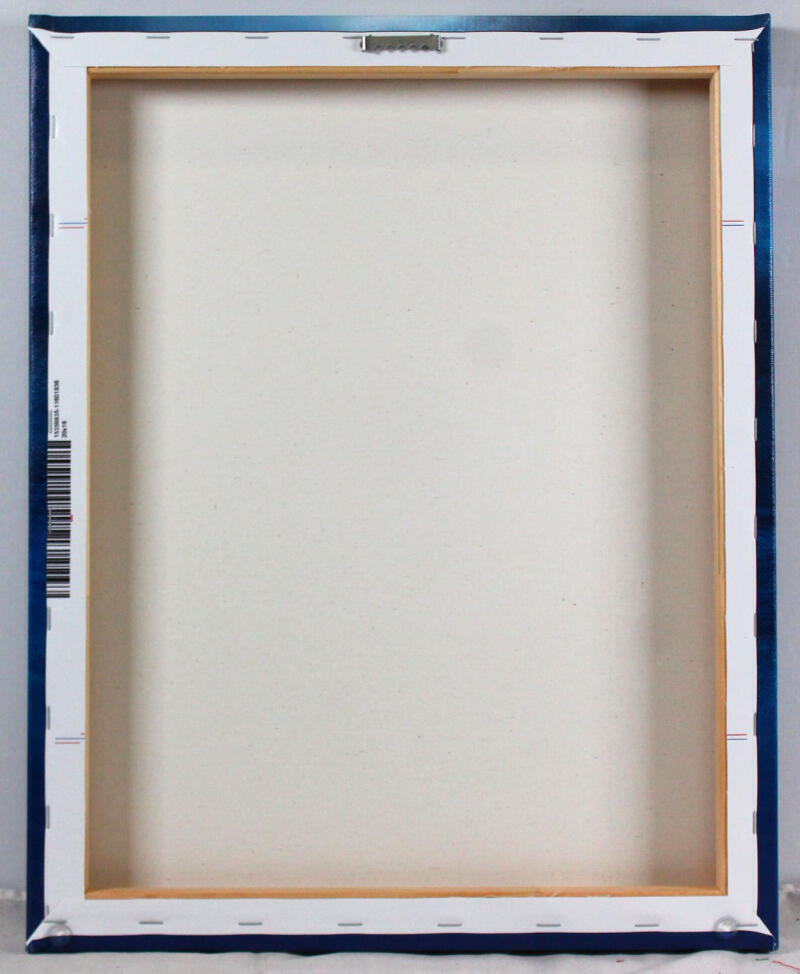 CeeDee Lamb Signed Dallas Cowboys Framed 16x20 Stretched Canvas-Fanatics *Silver