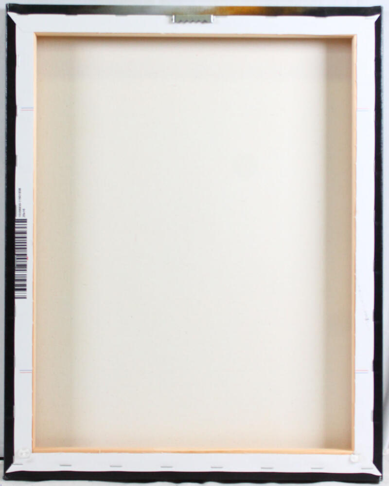 Chase Claypool Autographed Steelers Framed 16x20 Stretched Canvas-Beckett W Holo