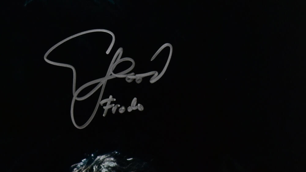 Sean Astin Elijah Wood Signed Lord of the Rings 16x20 Photo w/Sam, Frodo-Beckett