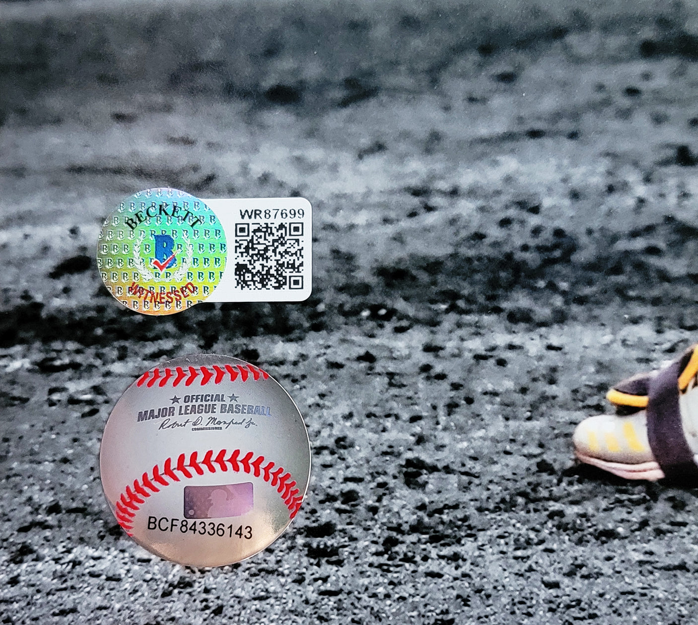 Fernando Tatis Jr. Autographed 11x14 Photo San Diego Padres Spotlight In Yellow Beckett BAS QR Stock #202108