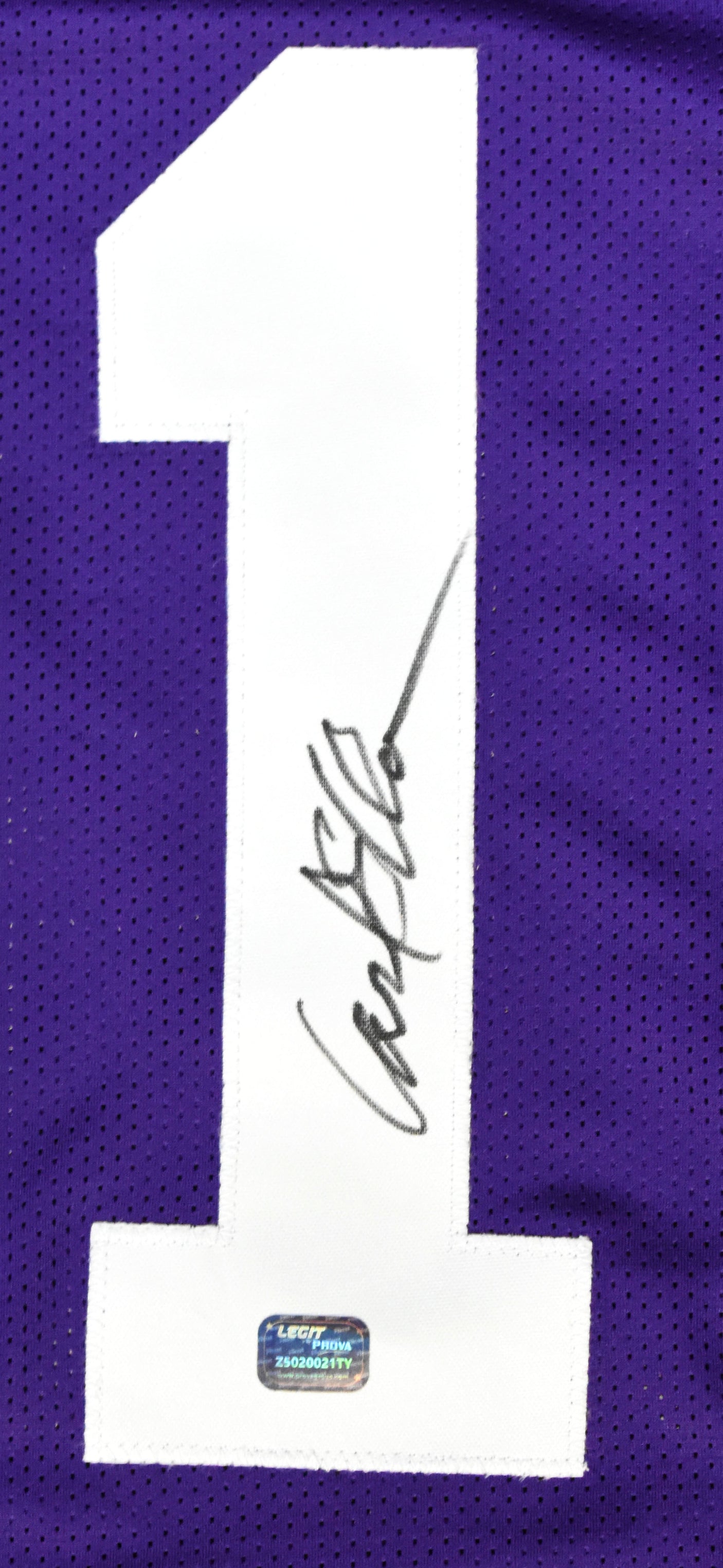 Carl Eller Autographed Purple Pro Style Jersey - Prova *Black