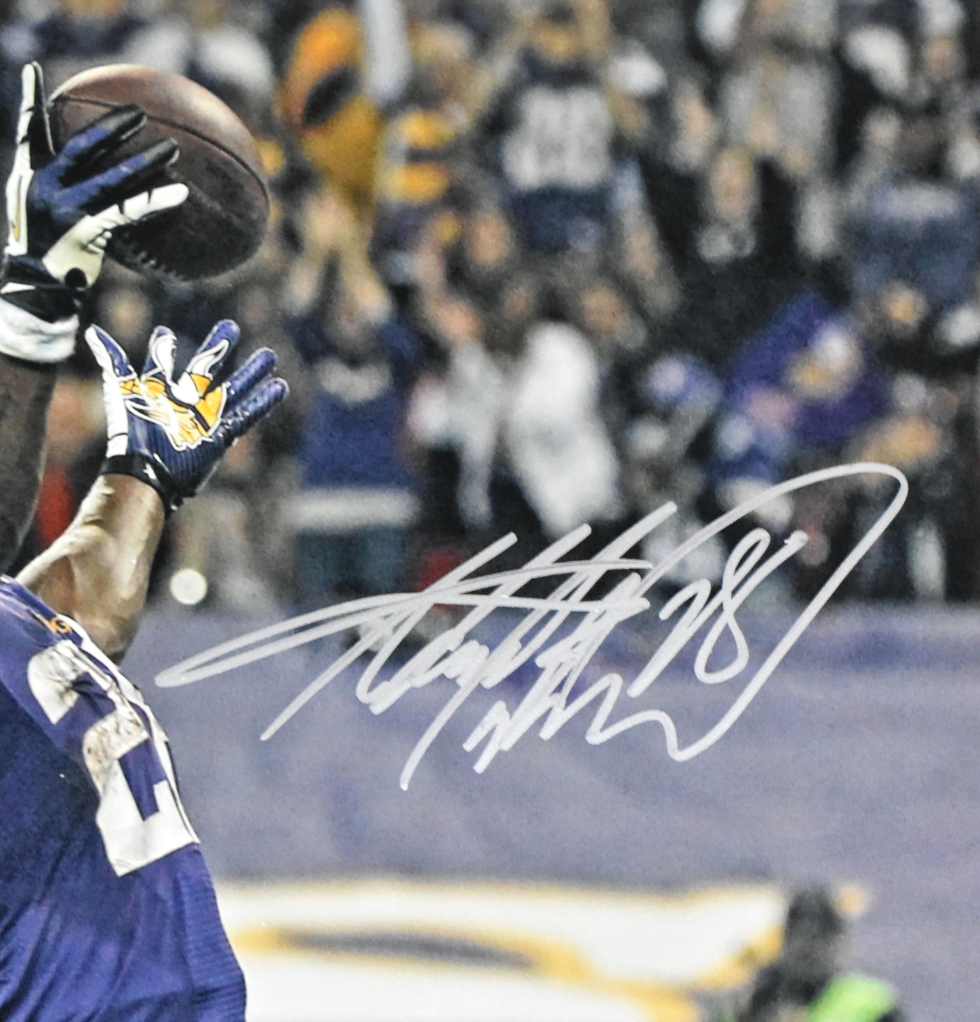 Adrian Peterson Autographed Vikings 16x20 Celebration Photo - Beckett W Hologram