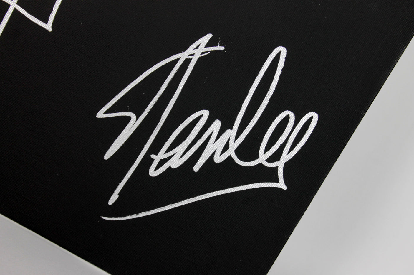 Stan Lee Authentic Signed 16x20 Canvas w/ Spider-man Sketch PSA/DNA #W00382