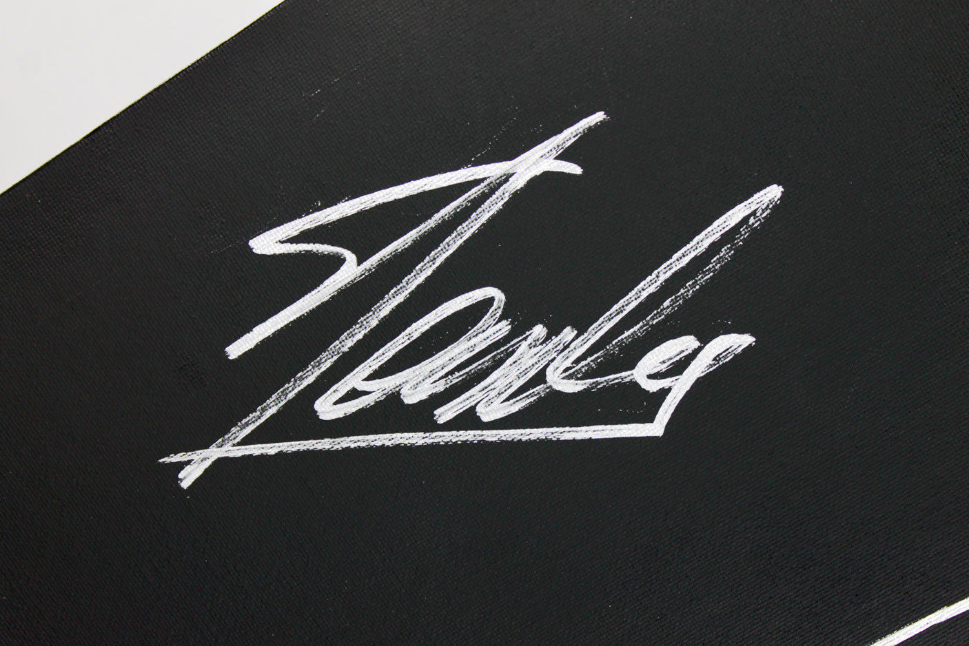 Stan Lee Authentic Signed 16x20 Canvas w/ Spider-man Sketch PSA/DNA #W00383