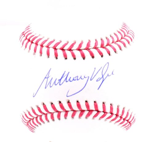 Anthony Volpe Autographed OML Baseball - Fanatics *Blue