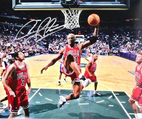 Dennis Rodman Autographed Bulls 16x20 Rebound Photo - Beckett W Hologram *Silver