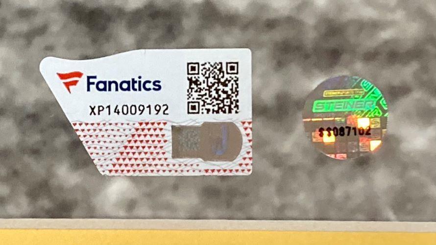 Pele Signed Framed 16x20 Brazil Bicycle Kick Photo Fanatics