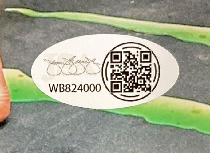 A Bo Nickal Signed 8x10 UFC Punch Photo by Sports Integrity features an oval QR code sticker with a printed signature, "355" in the background, and WB824000 on a multicolored surface with green streaks.
