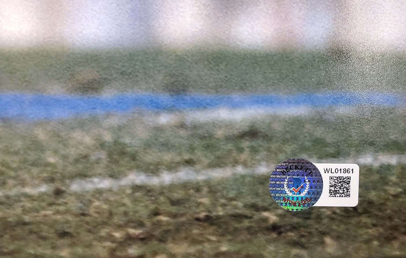 Bob Griese Autographed 16x20 Photo Miami Dolphins Beckett BAS QR Stock #194352