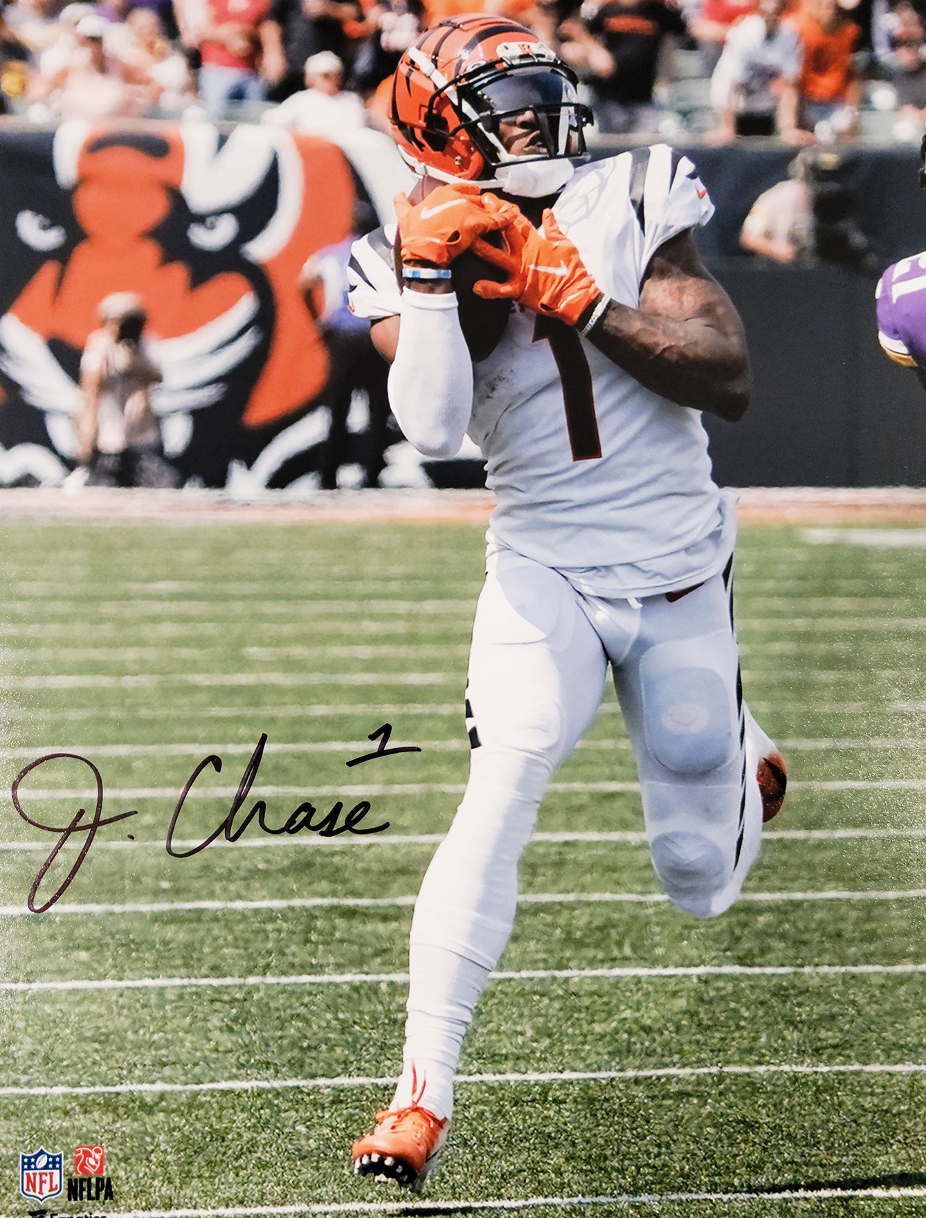 Ja'Marr Chase Autographed 16x20 Photo Cincinnati Bengals Beckett BAS QR Stock #205627