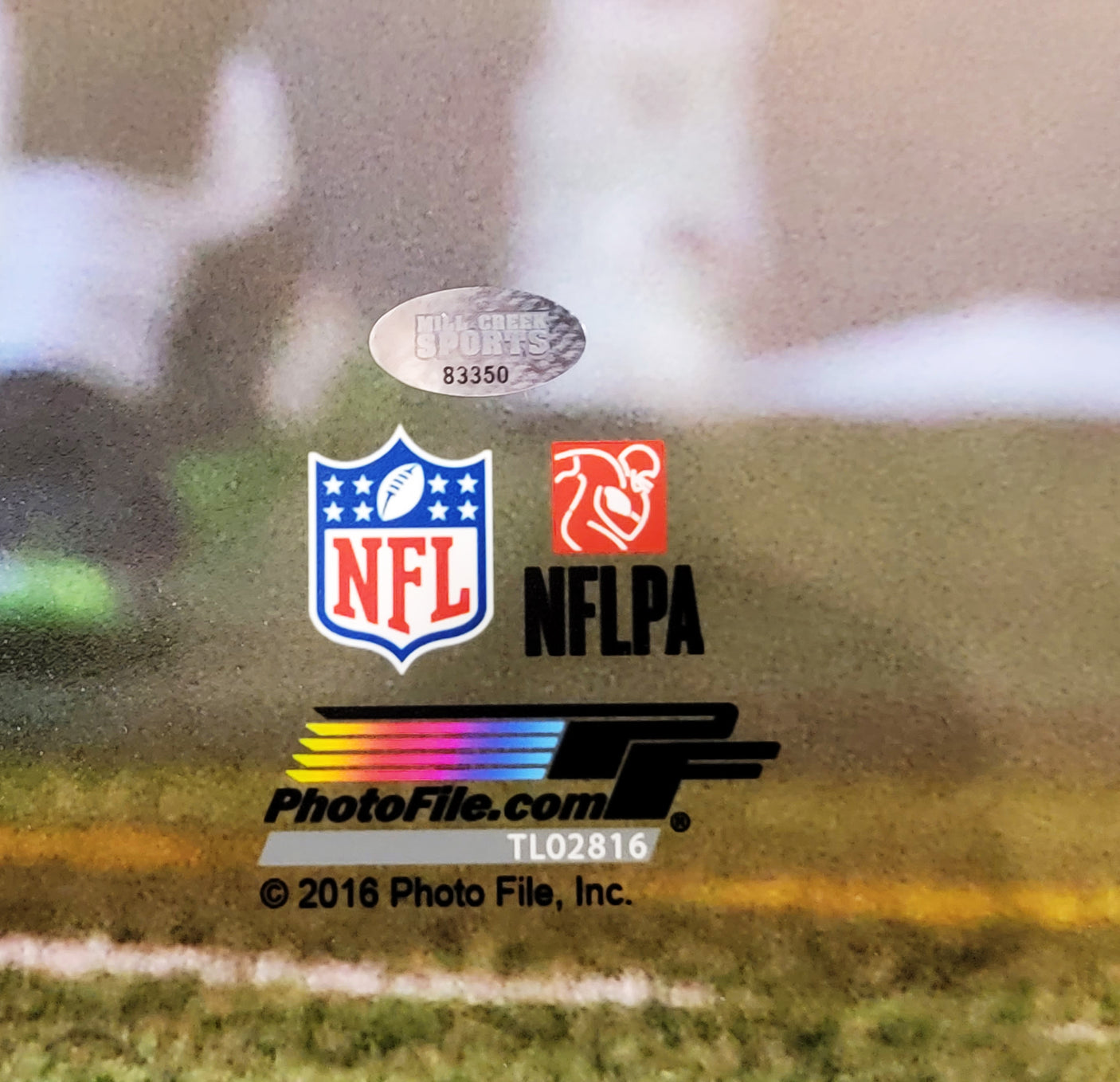 Tyler Lockett Autographed 16x20 Photo Seattle Seahawks Tunnel MCS Holo Stock #209199