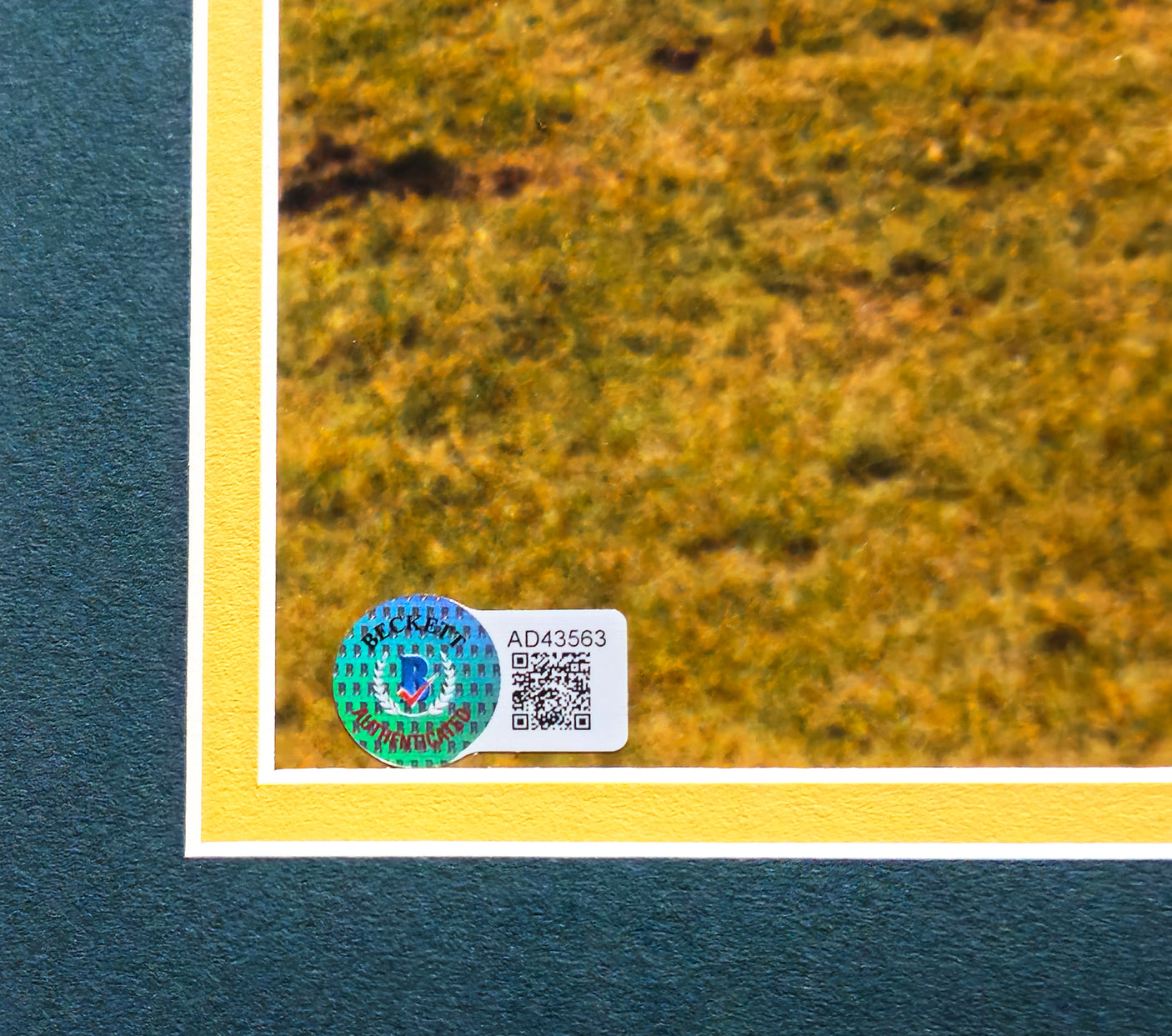 Reggie White Autographed Framed 16x20 Photo Green Bay Packers Beckett BAS #AD43563