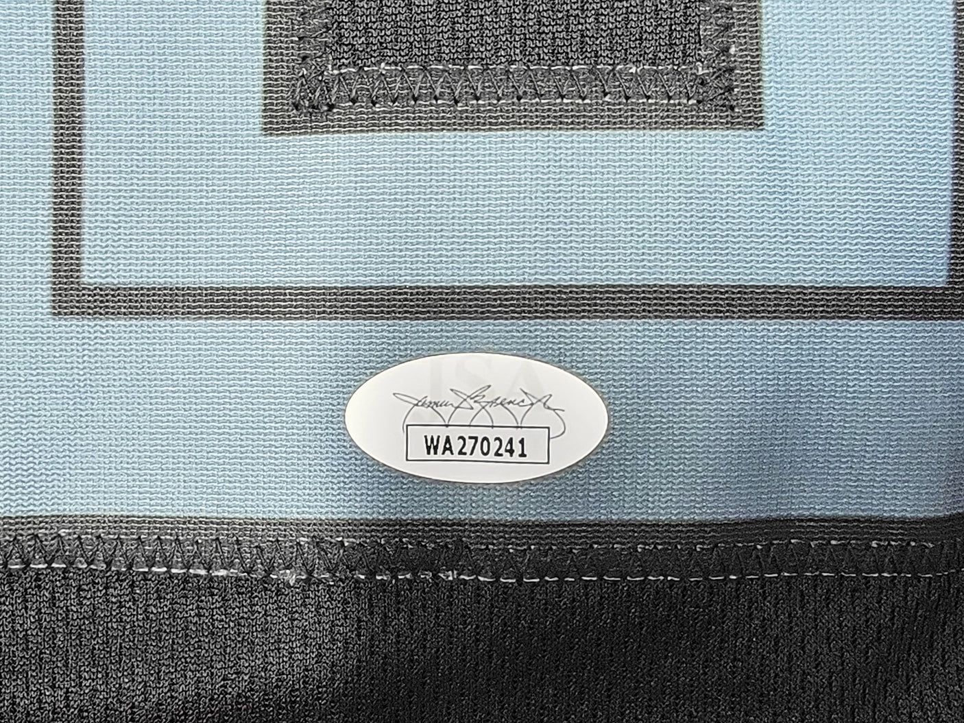 Memphis Grizzlies Desmond Bane Autographed Blue Jersey JSA Stock #210854