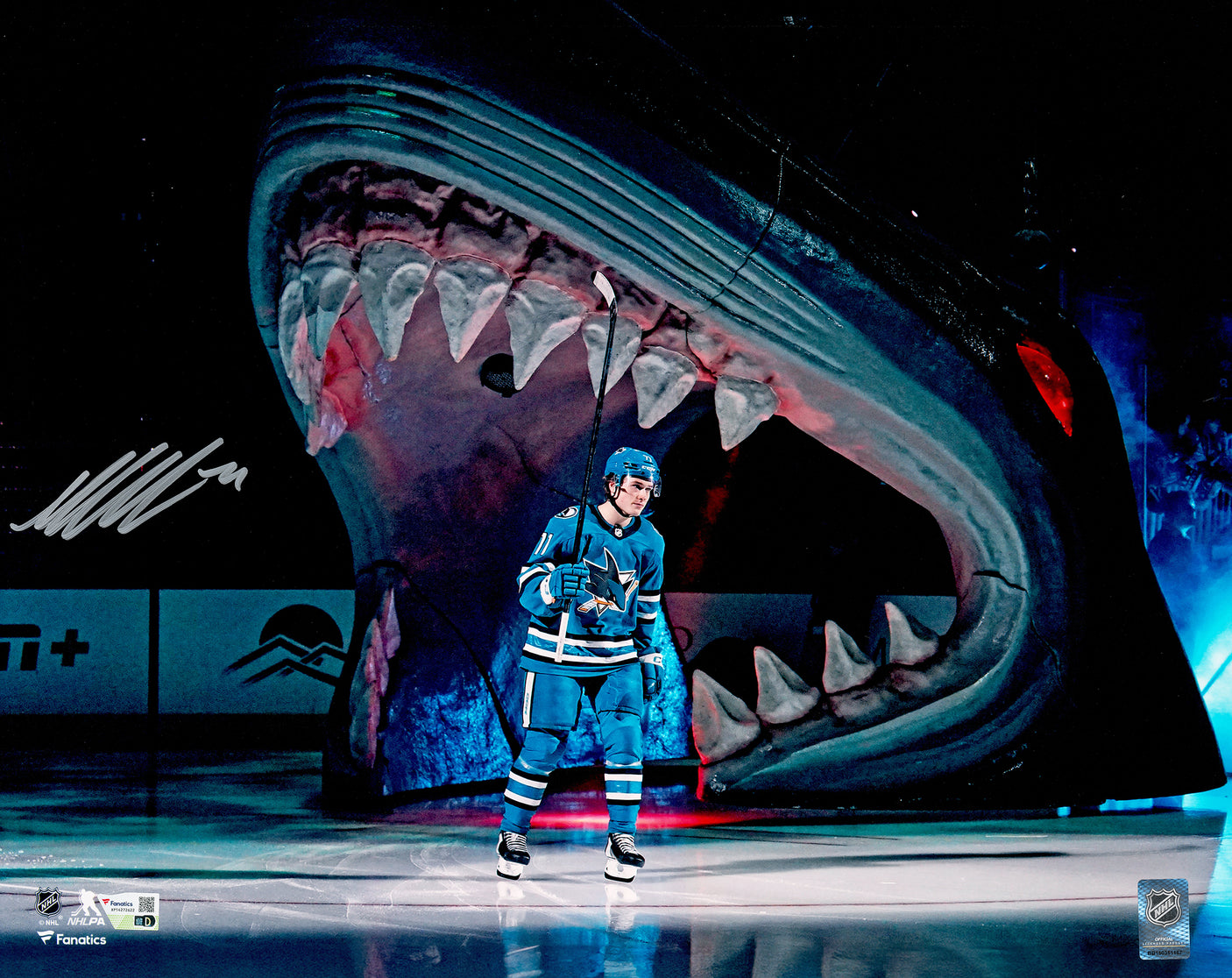 Macklin Celebrini Autographed 16x20 Photo San Jose Sharks Fanatics Holo Stock #236534
