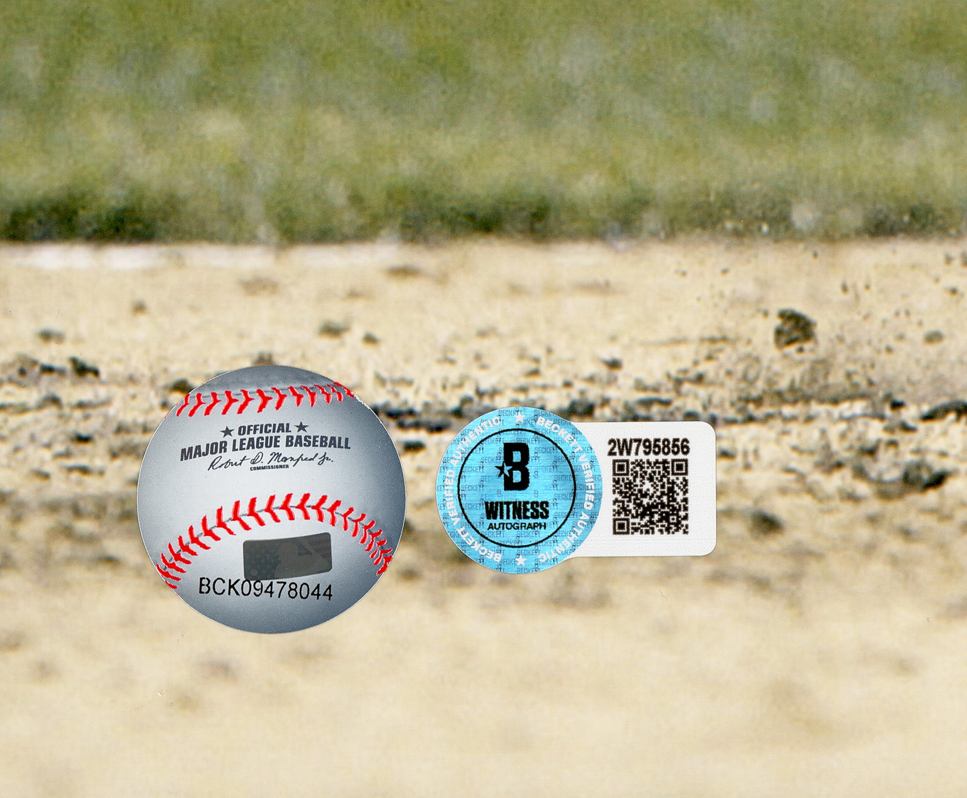 Frank Thomas Autographed 16x20 Photo Chicago White Sox Beckett BAS Witness Stock #239751