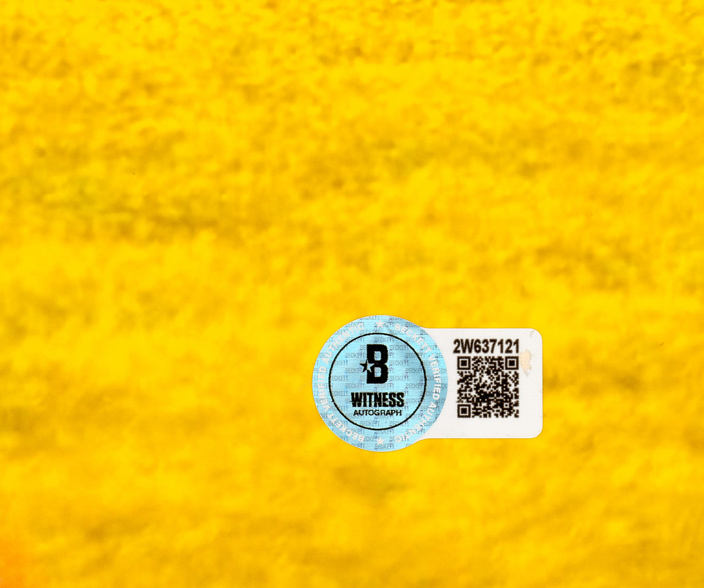 James Harrison Autographed 16x20 Photo Pittsburgh Steelers Super Bowl XLIII Interception Return Touchdown Beckett BAS Witness Stock #241382