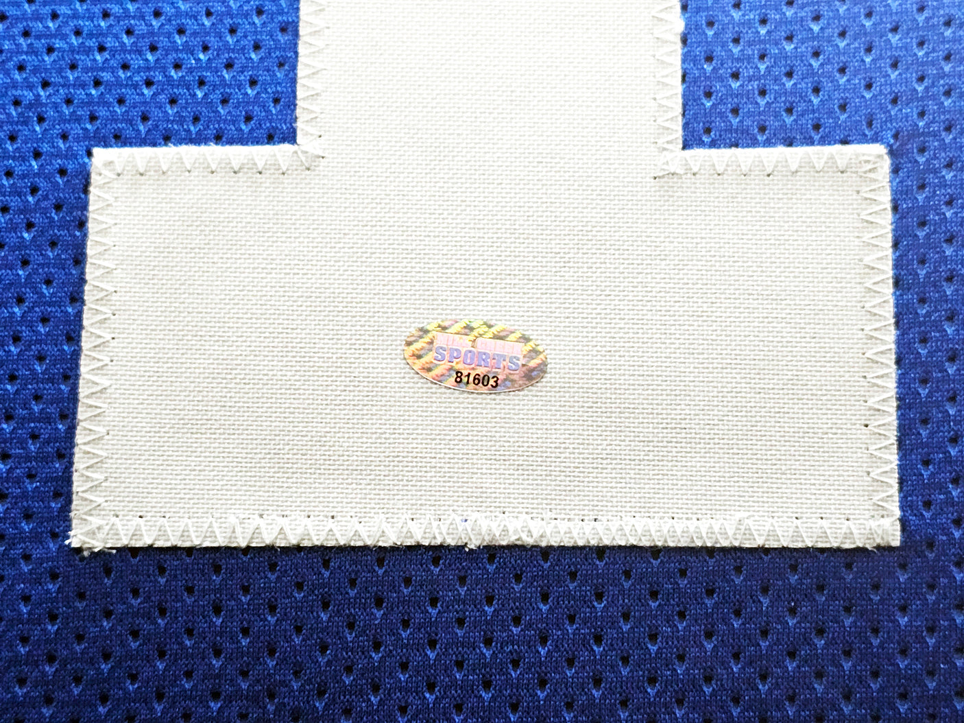 Seattle Seahawks Jim Zorn Autographed Framed Blue Jersey MCS Holo Stock #214097