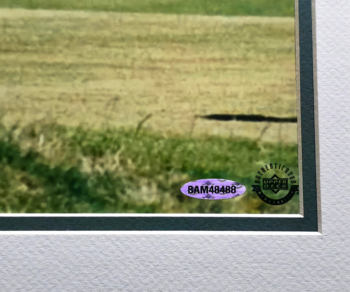 Tiger Woods Autographed Framed 20x24 Photo 2000 British Open UDA Holo #BAM48488
