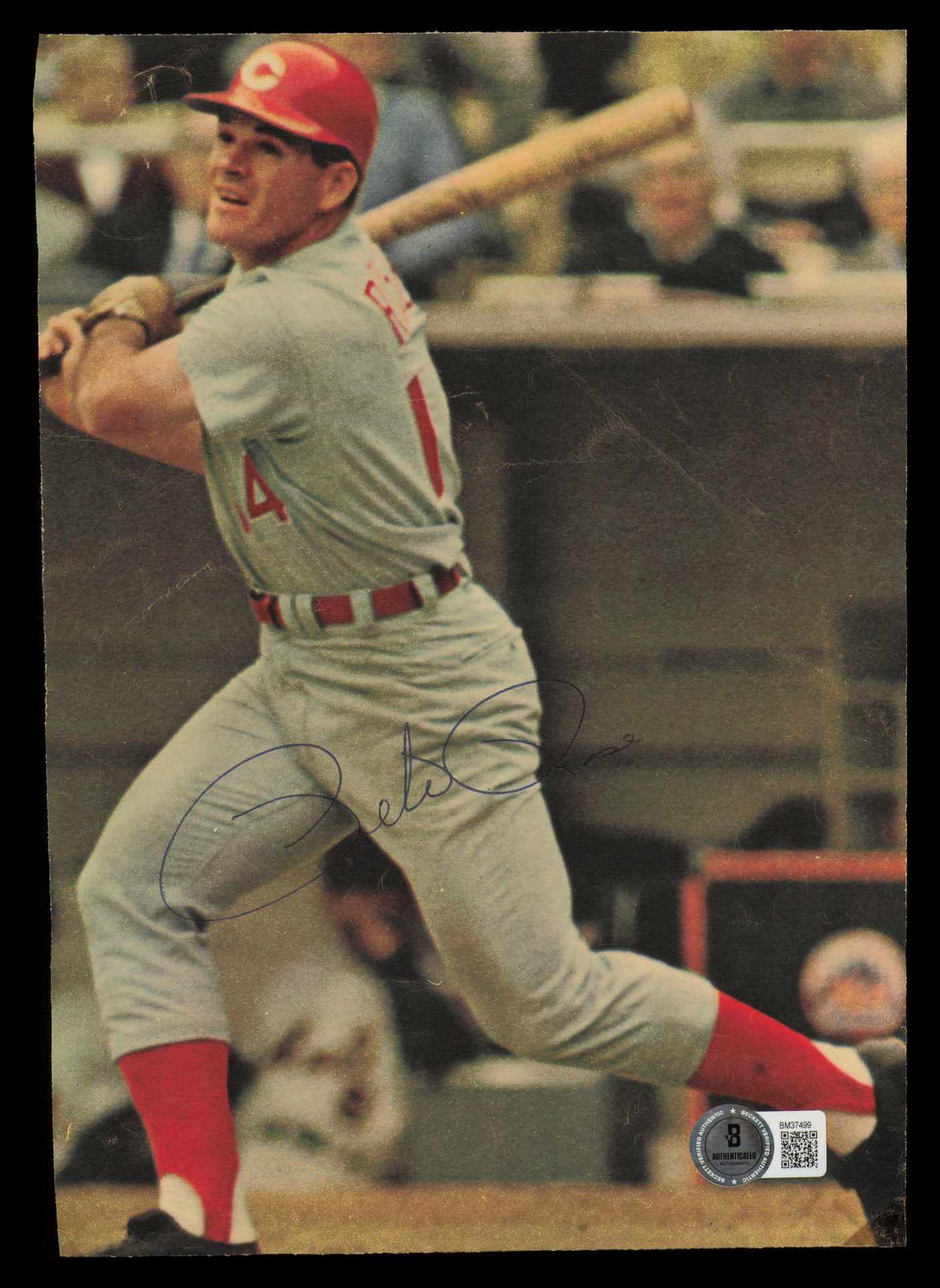 Pete Rose Autographed 6.5x9 Magazine Page Photo Cincinnati Reds Vintage Signature Beckett BAS QR #BM37499