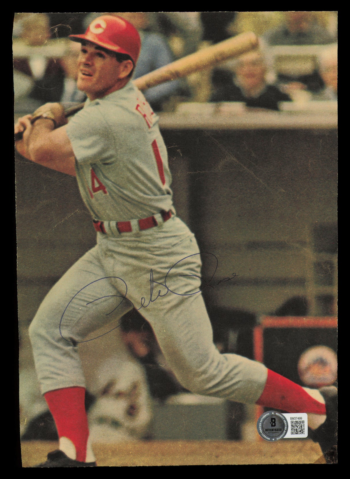 Pete Rose Autographed 6.5x9 Magazine Page Photo Cincinnati Reds Vintage Signature Beckett BAS QR #BM37499
