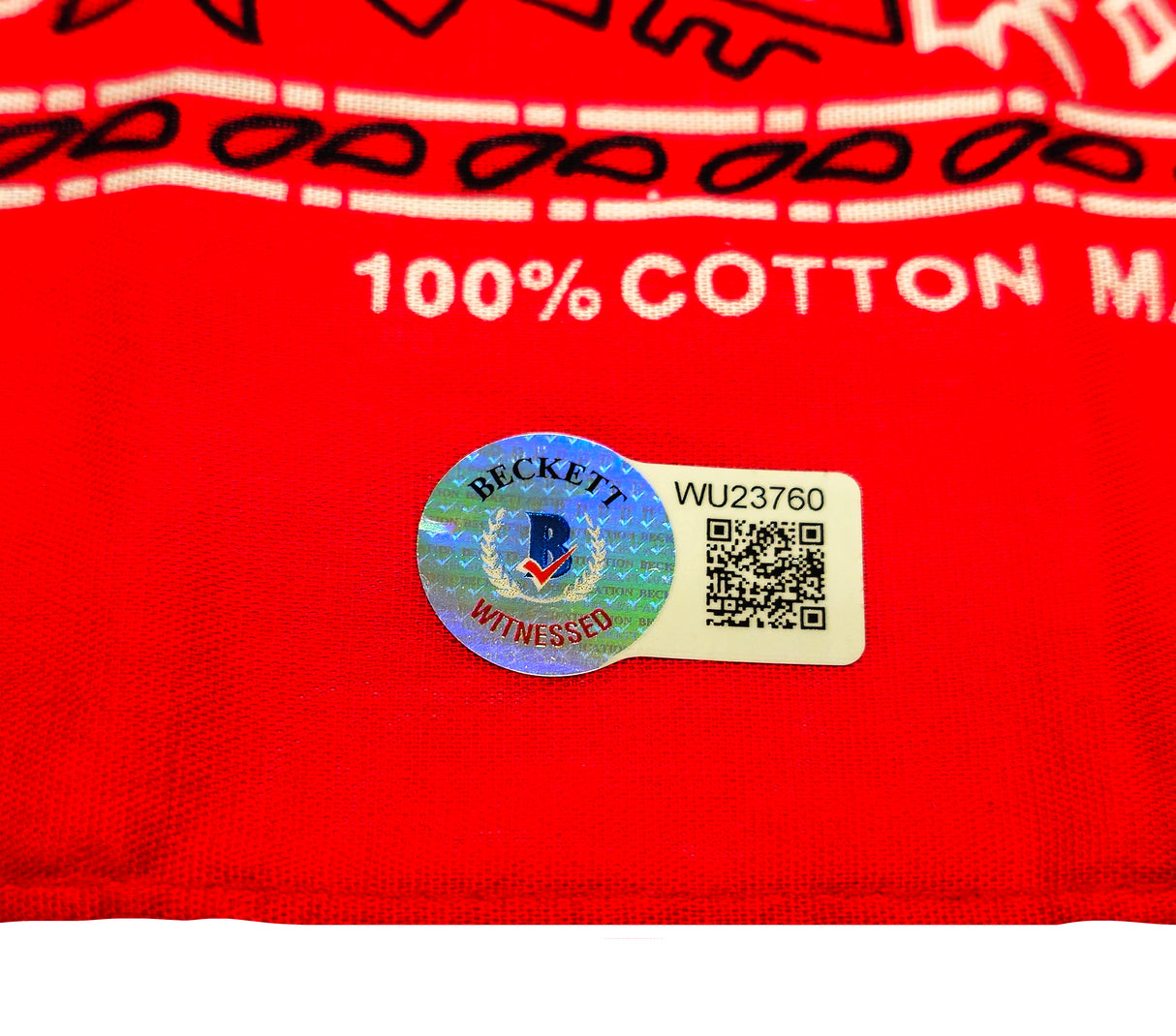 Charlie Sheen Autographed 19x21 Bandana Major League Ricky 'Wild Thing' Vaughn Beckett BAS Witness Stock #232866