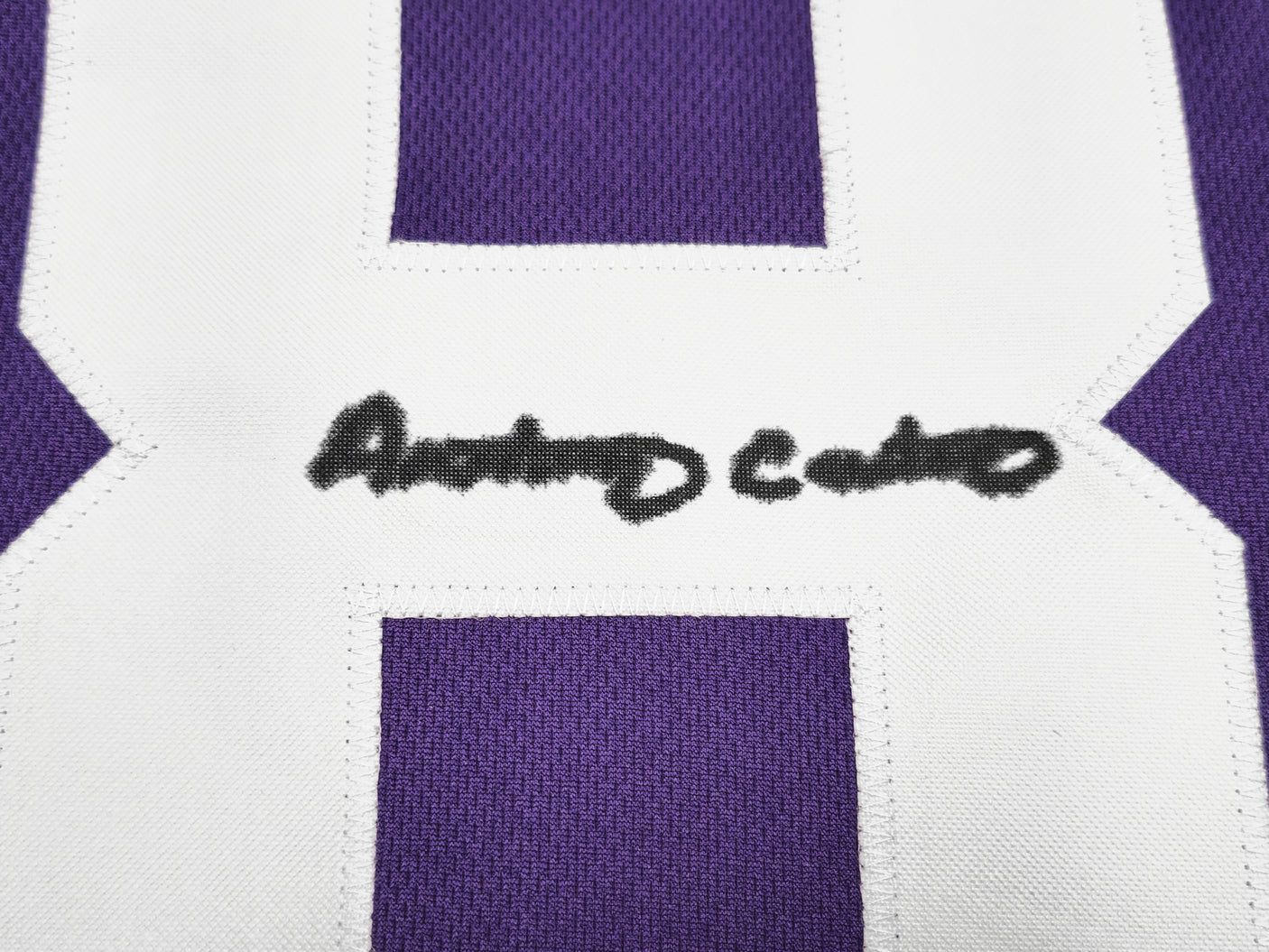 Minnesota Vikings Anthony Carter Autographed Purple Jersey JSA Stock #234502