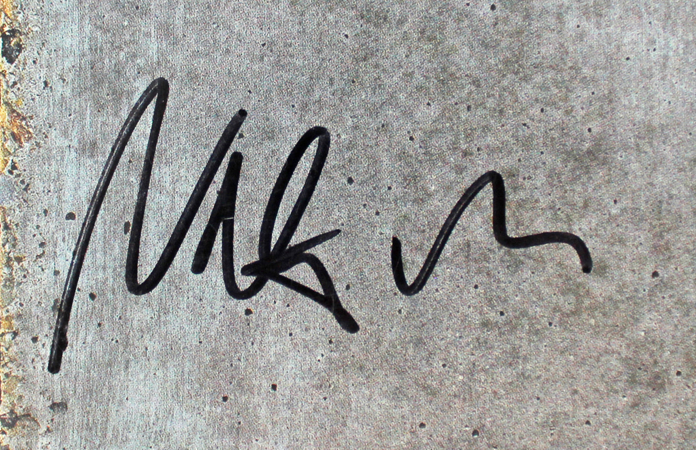 Foo Fighters (6) Grohl, Hawkins, Smear +3 Signed Album Cover W/ Vinyl BAS LOA