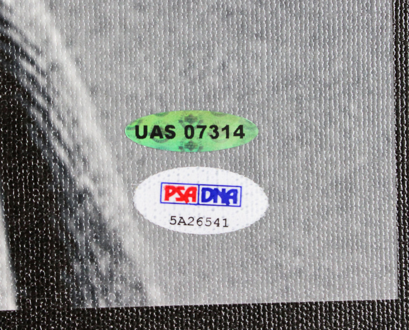 Muhammad Ali & Michael Jordan Authentic Signed & Framed 30x40 Canvas PSA & UDA