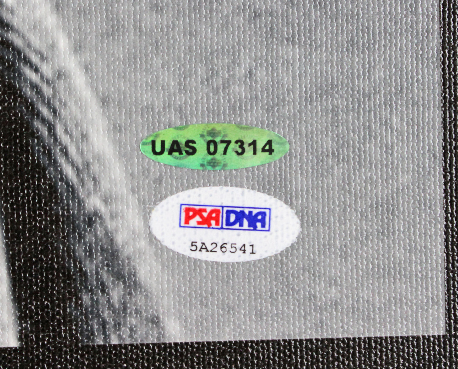 Muhammad Ali & Michael Jordan Authentic Signed & Framed 30x40 Canvas PSA & UDA