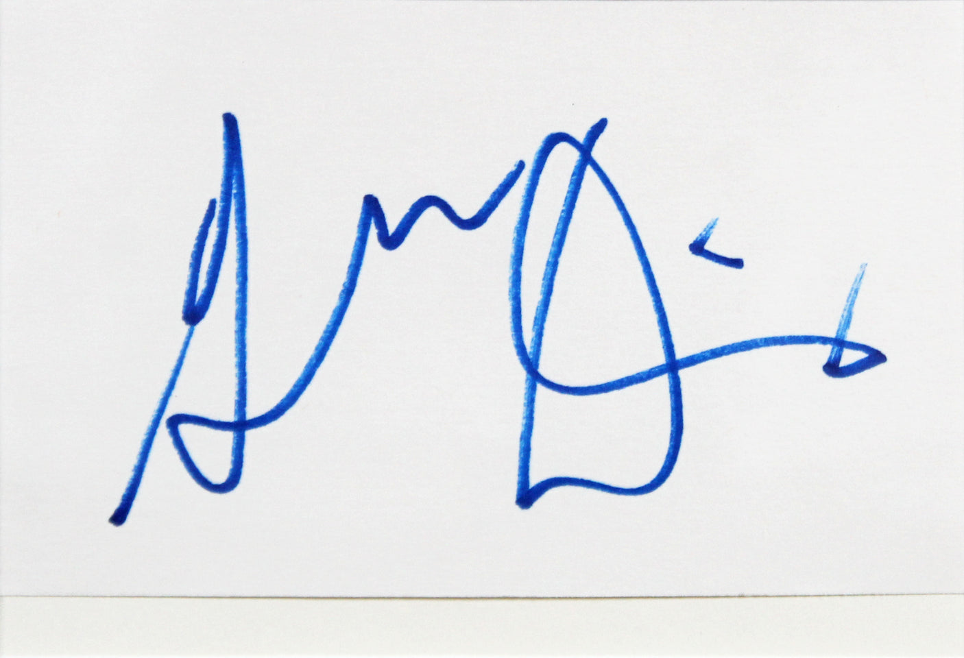 Susan Sarandon & Geena Davis Thelma & Louise Signed Framed Display BAS #AD04978