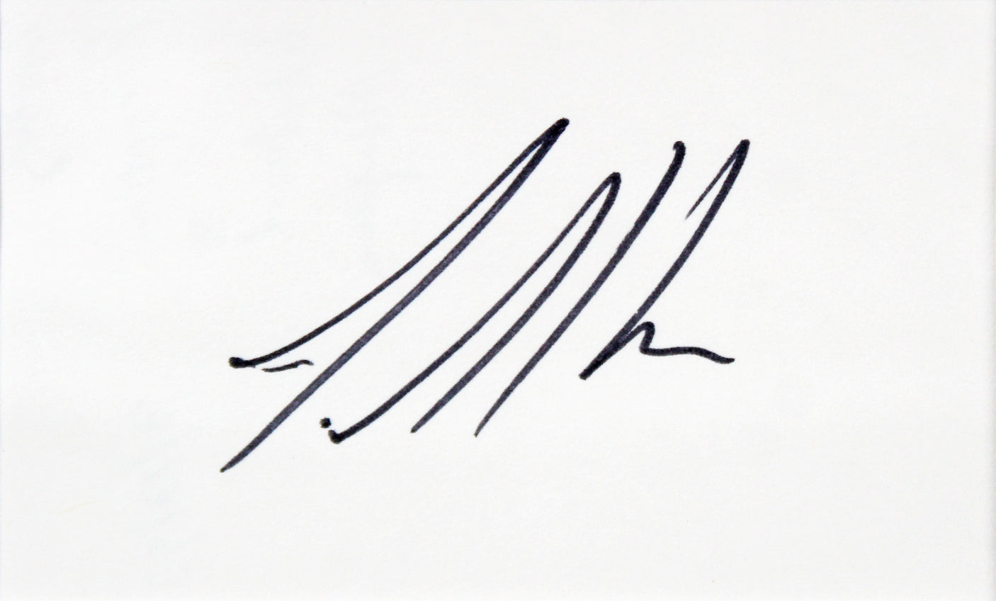 Tim Allen & Patricia Richardson Home Improvement Signed Framed Display BAS LOA