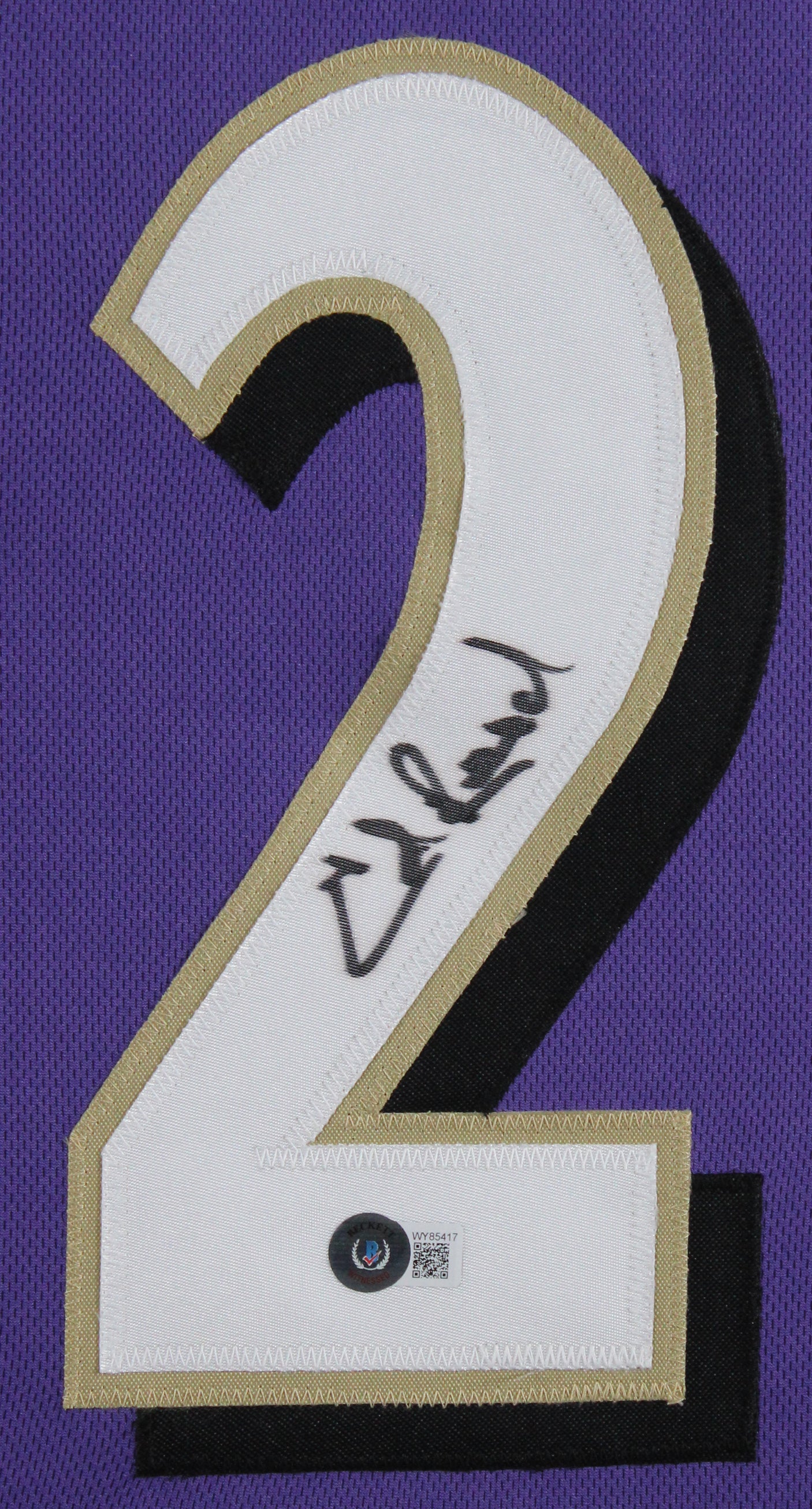 Ed Reed Authentic Signed Purple Pro Style Framed Jersey Autographed BAS Witness