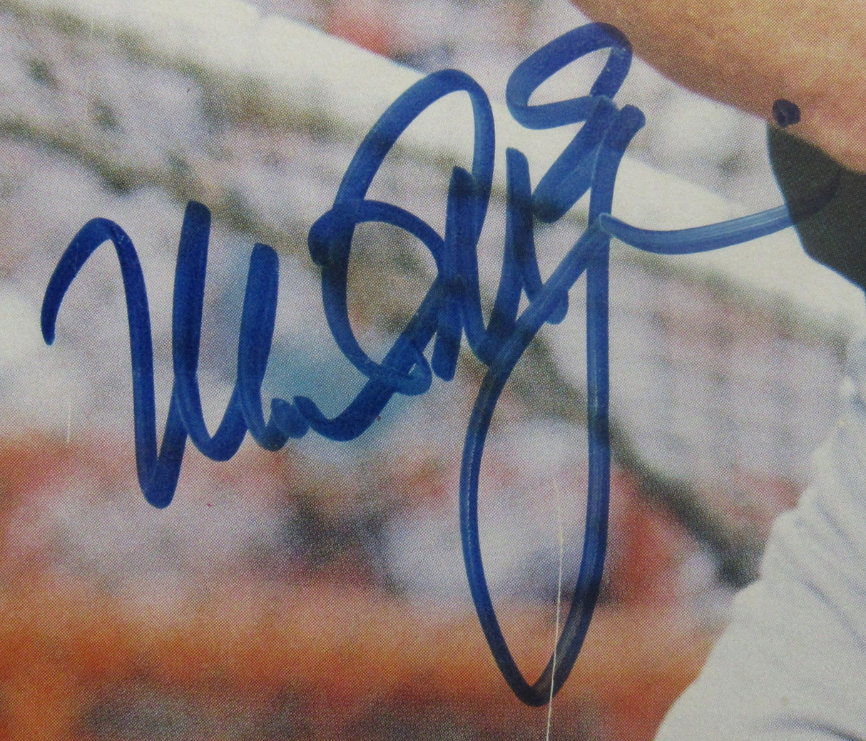 Mark McGwire Signed 8x10 Photo JSA CN60143 - See Description