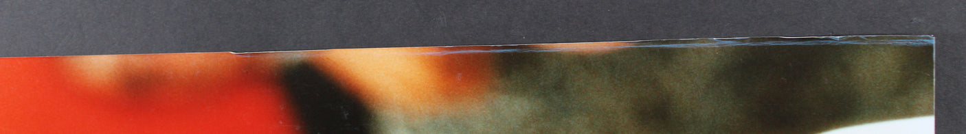 Angelina Jolie Mr. & Mrs. Smith Authentic Signed 16x20 Photo PSA/DNA #J00098