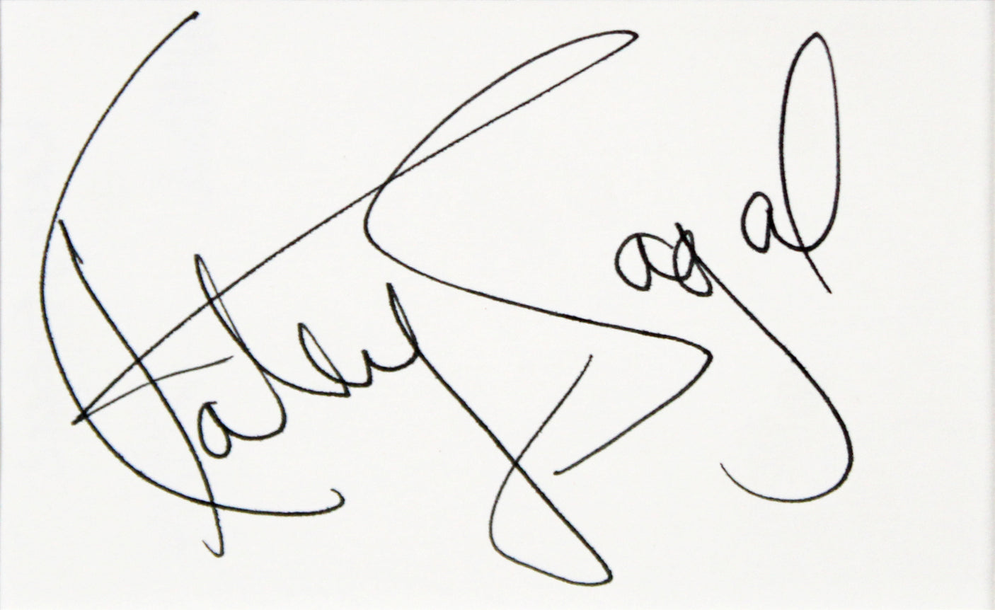 Married With Children (4) O'Neill, Sagal +2 Signed Framed Display BAS #AD04877