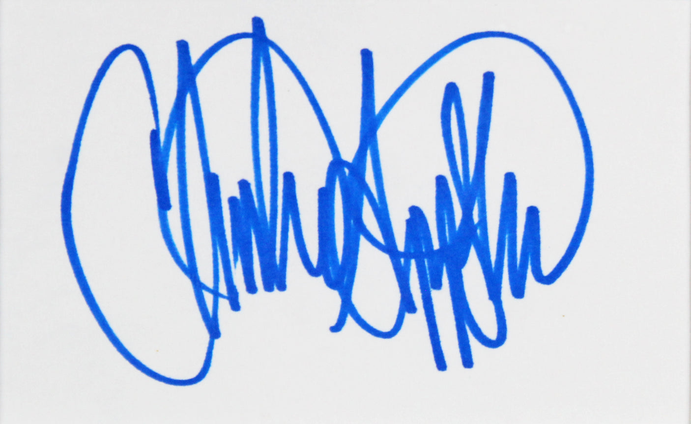 Married With Children (4) O'Neill, Sagal +2 Signed Framed Display BAS #AD04877