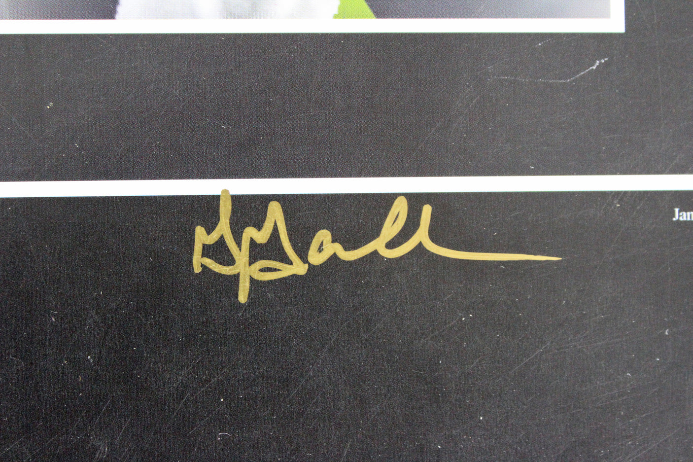 Auburn (4) Newton, Fairley Signed 24x27 Litho LE #619/3000 Fanatics #FA005355