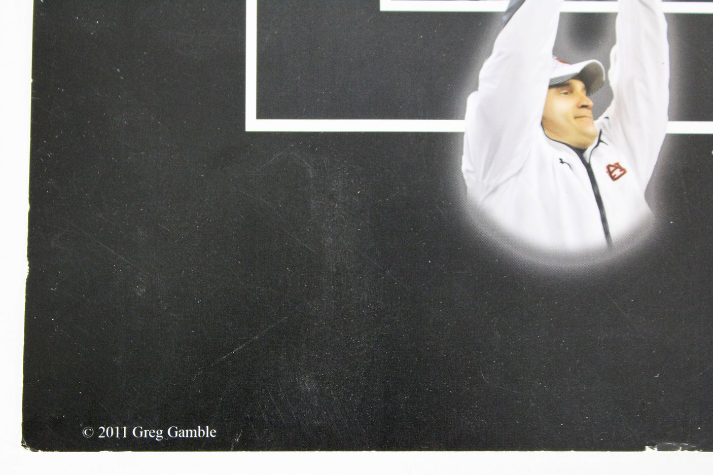 Auburn (4) Newton, Fairley Signed 24x27 Litho LE #619/3000 Fanatics #FA005355