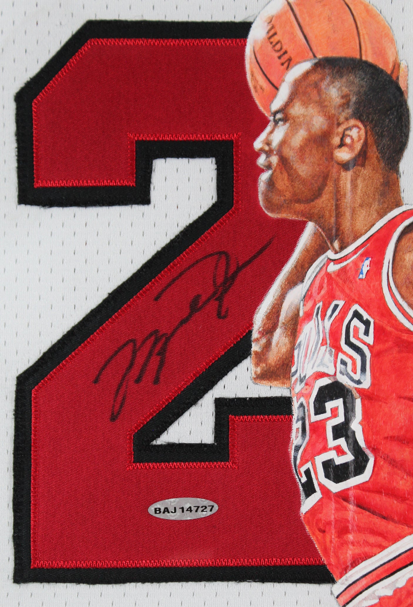 Bulls Michael Jordan Signed William Zavala Hand Painted M&N Framed Jersey UDA