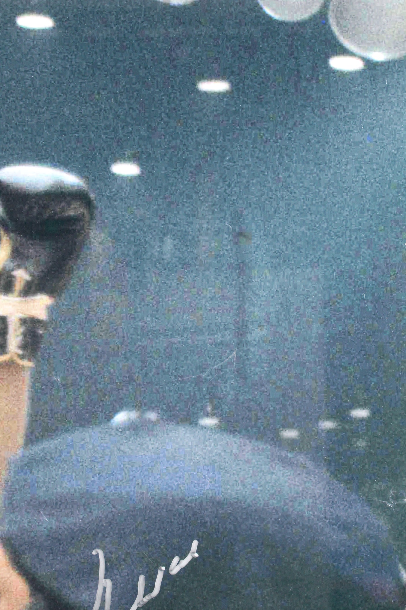 Muhammad Ali Authentic Signed Framed 26x34 Photo Auto 10! PSA/DNA Itp #3A74501