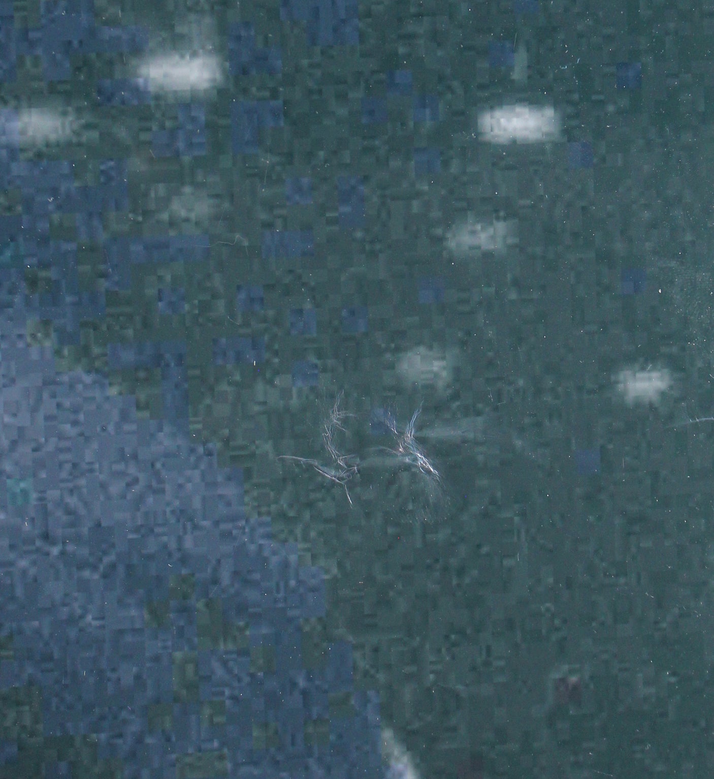 Muhammad Ali Authentic Signed Framed 26x34 Photo Auto 10! PSA/DNA Itp #3A74501