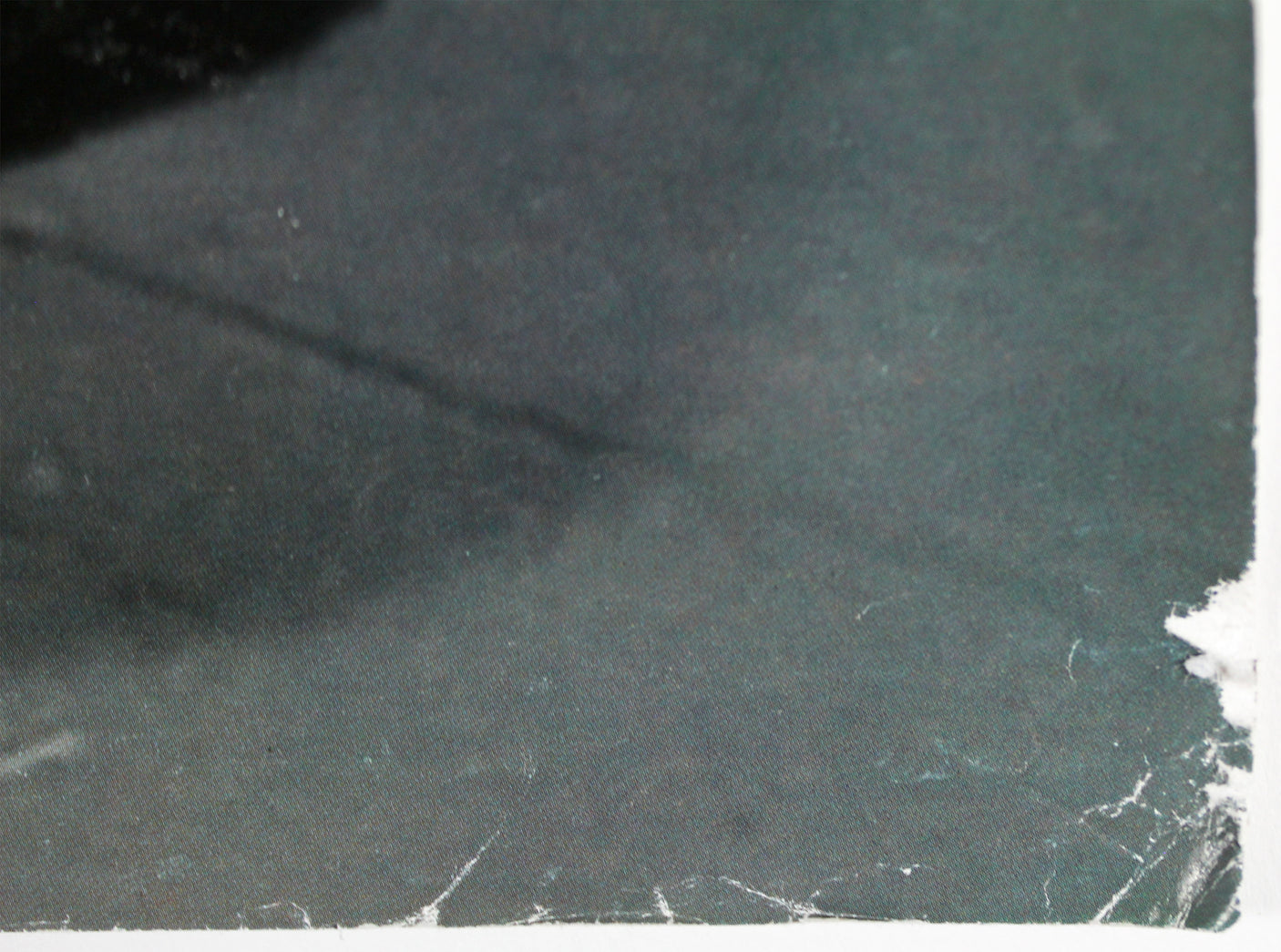 Dr. Dre, Ice Cube & DJ Yella N.W.A Authentic Signed 24x36 Photo JSA #XX91374