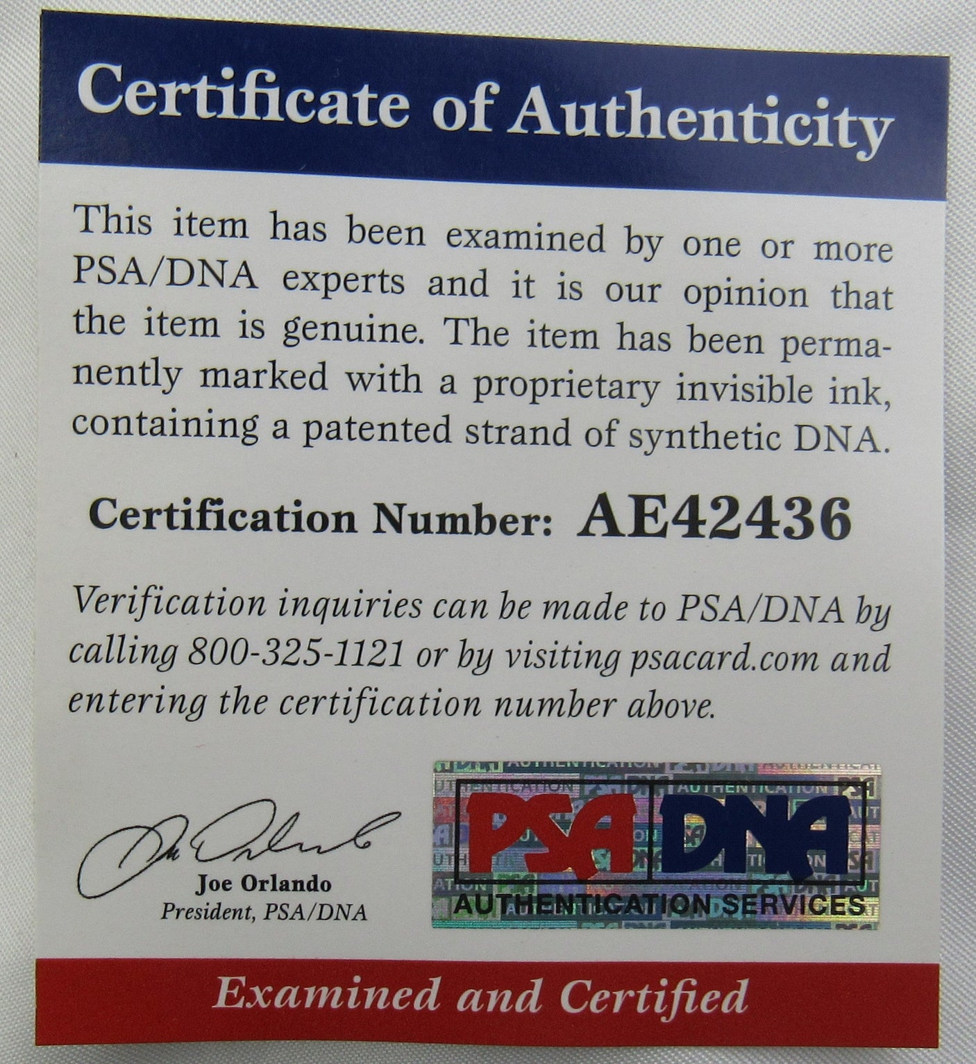 Charles Oakley Signed Auto Autograph Replica Jersey PSA/DNA COA